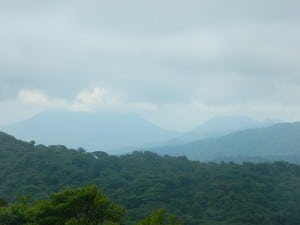 View from 5000ft + elevation in the cloud forest