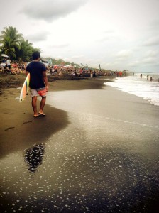 hermosa surf comp