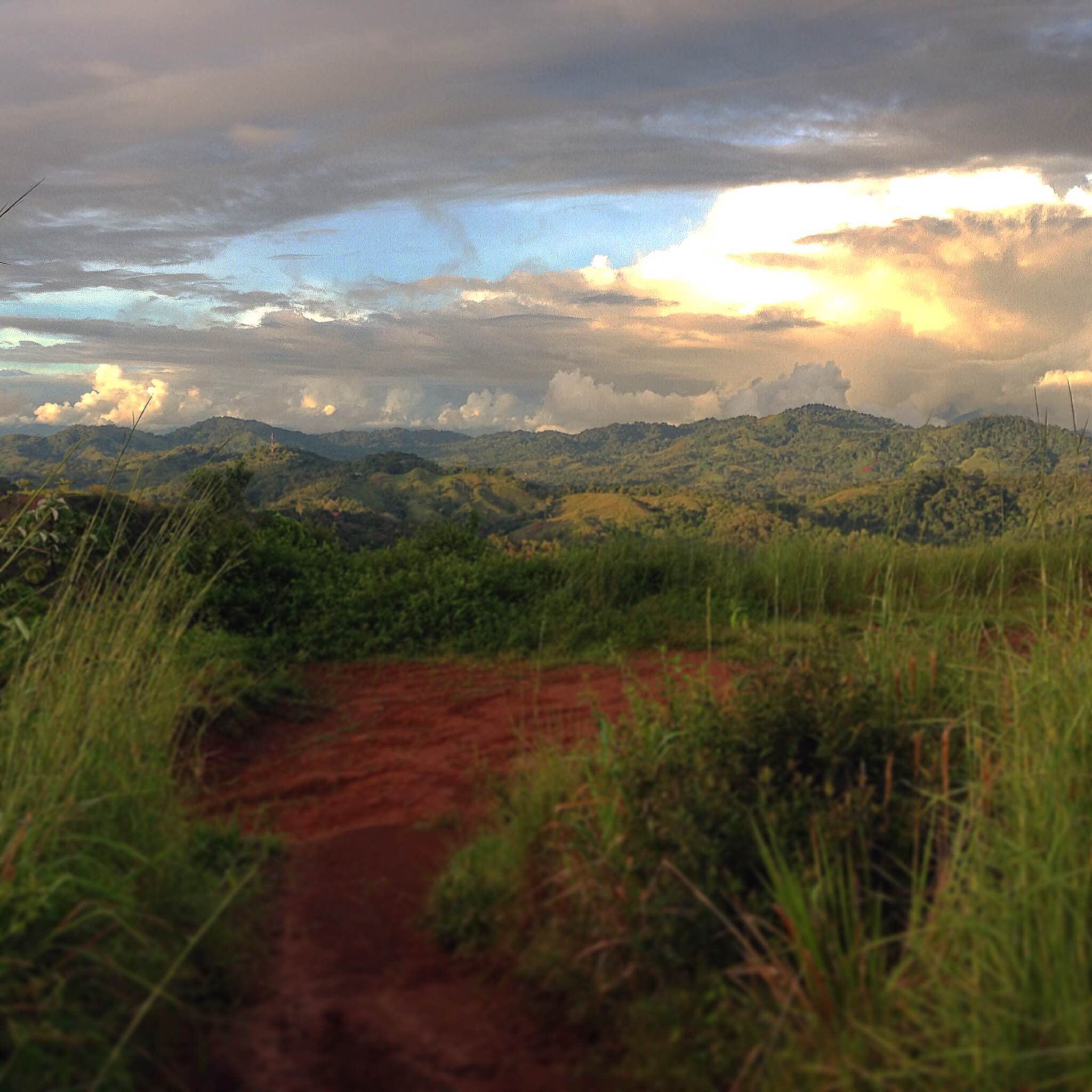 Purified Costa Rica