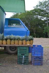 Farmers Market in Jaco