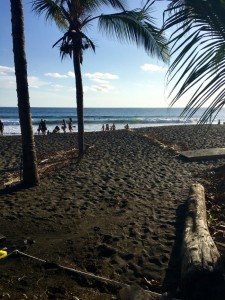 Playa Jaco