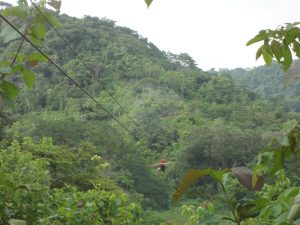 Waterfall Rapelling 3