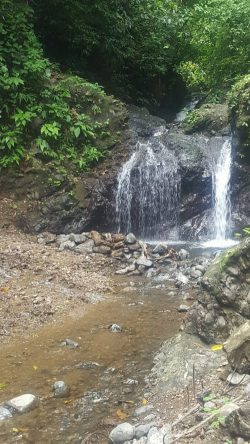 Hidden Waterfalls near Jaco