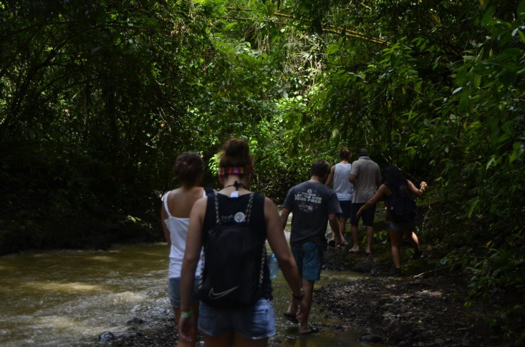 Hiking to a waterfall