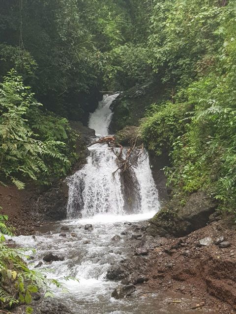 WATERFALL JACO